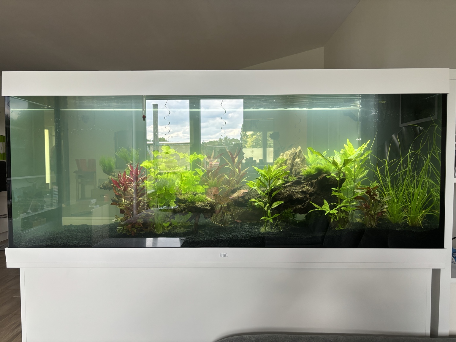Aquarium-Hardscape